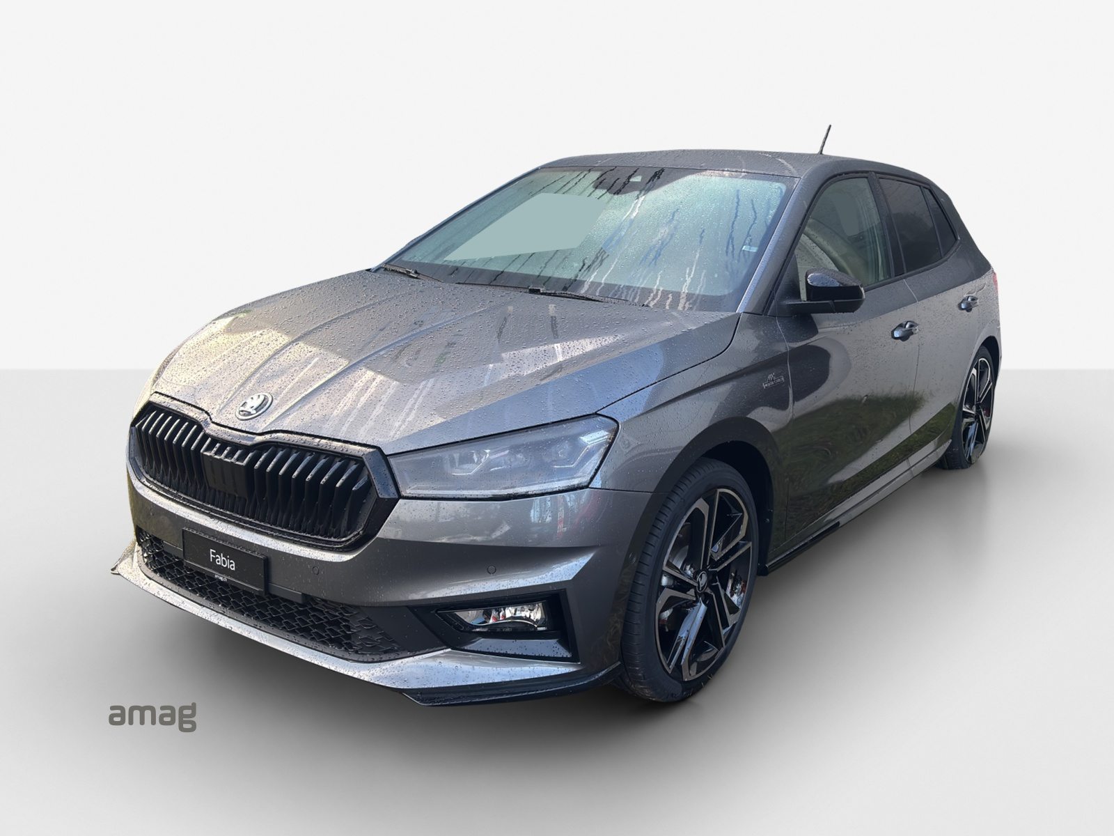 SKODA Fabia Monte Carlo