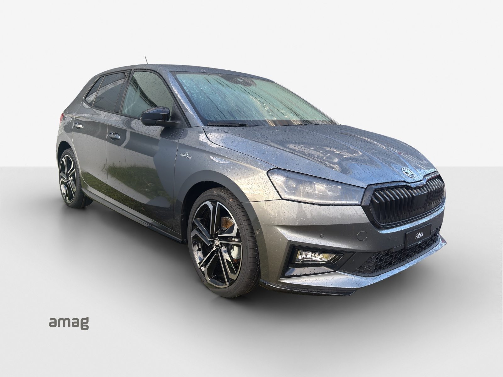 SKODA Fabia Monte Carlo, Benzina, Auto nuove, Automatico - 3