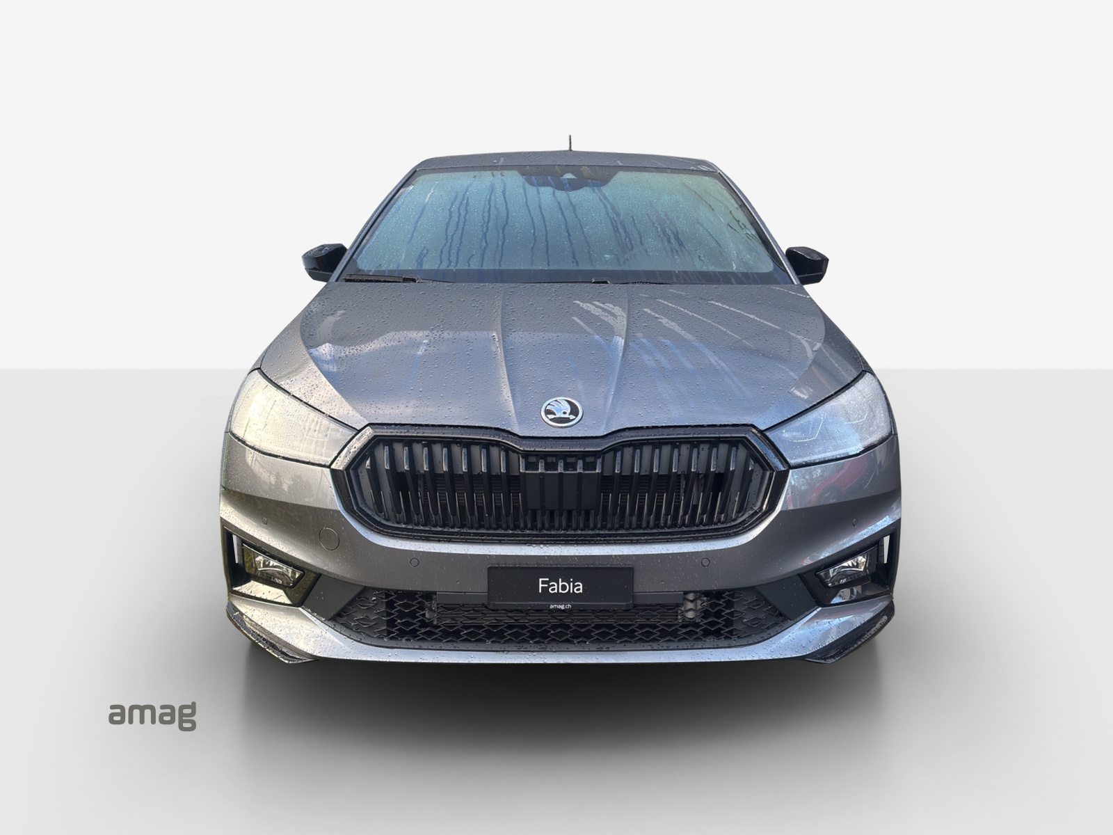 SKODA Fabia Monte Carlo, Benzina, Auto nuove, Automatico - 4