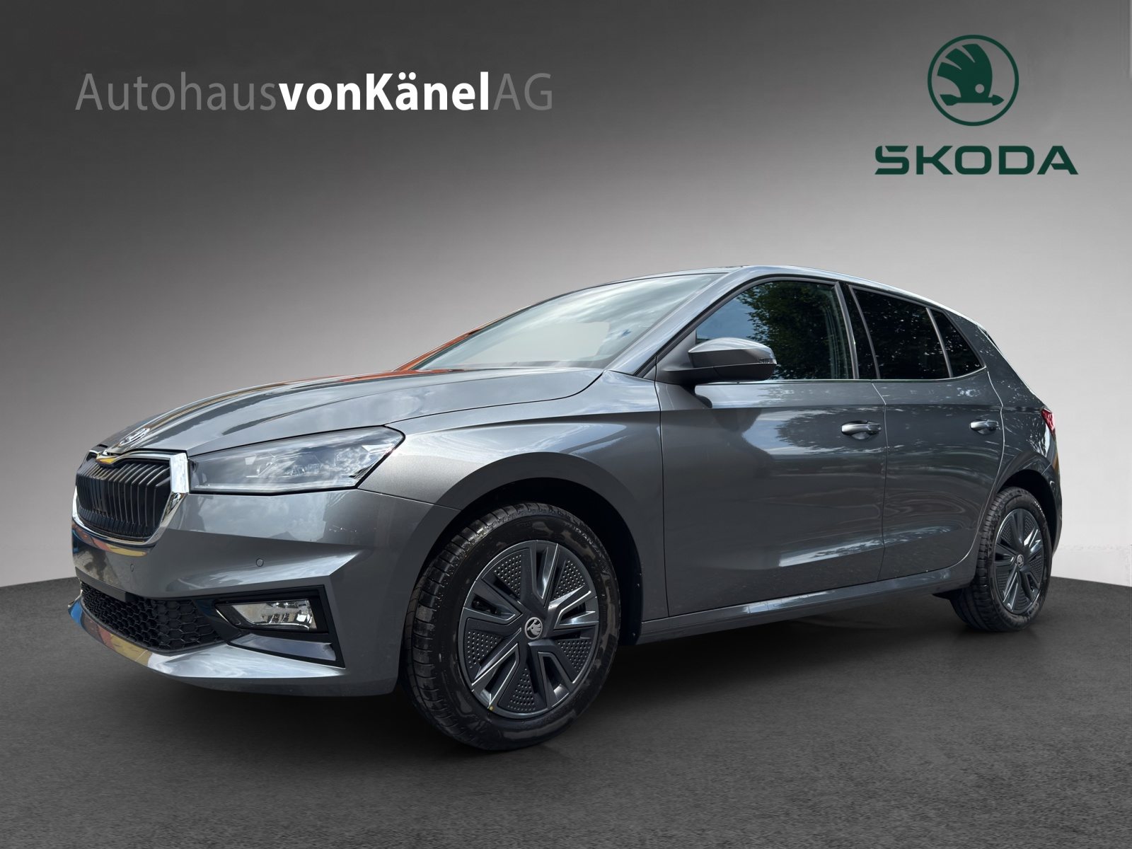 SKODA Fabia Dynamic (Netto)