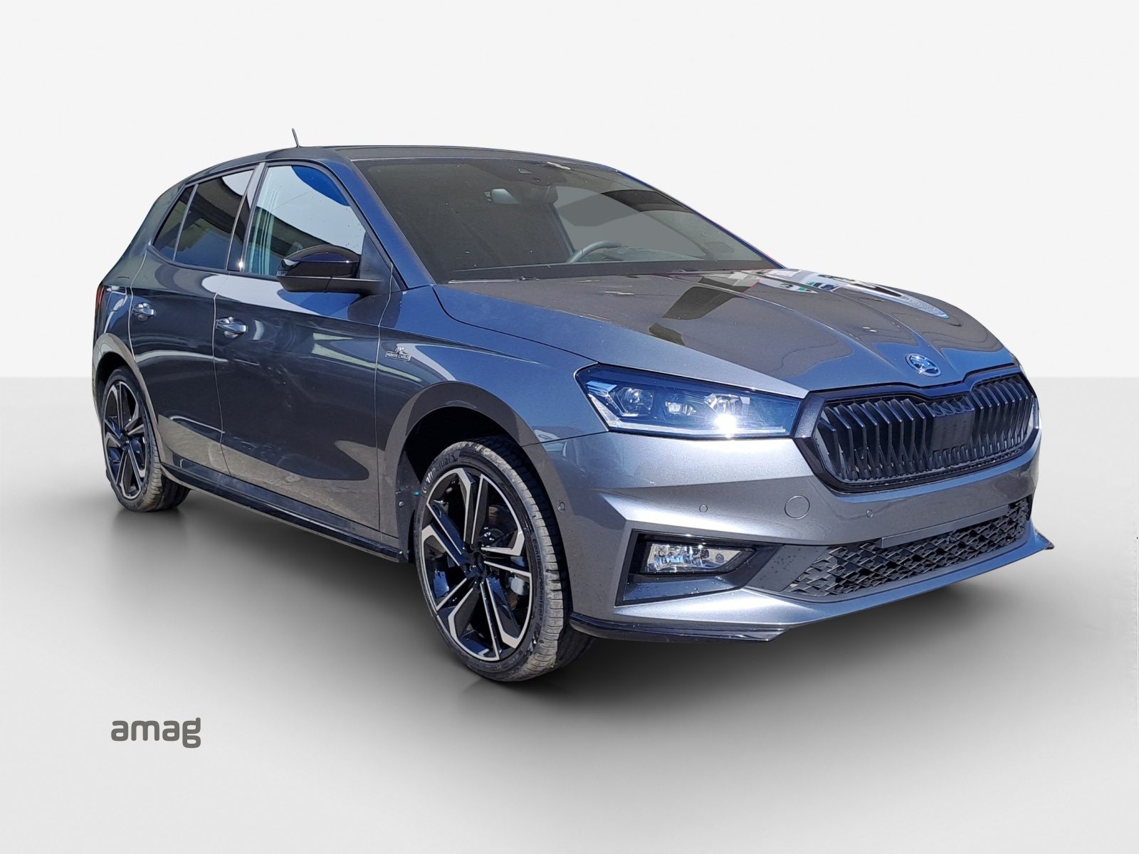 SKODA Fabia Monte Carlo, Petrol, New car, Automatic - 6