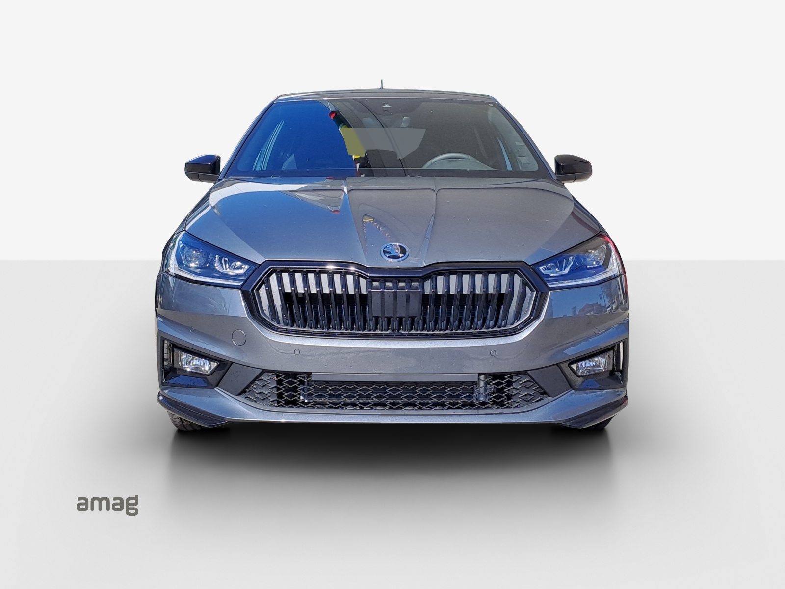 SKODA Fabia Monte Carlo, Petrol, New car, Automatic - 7