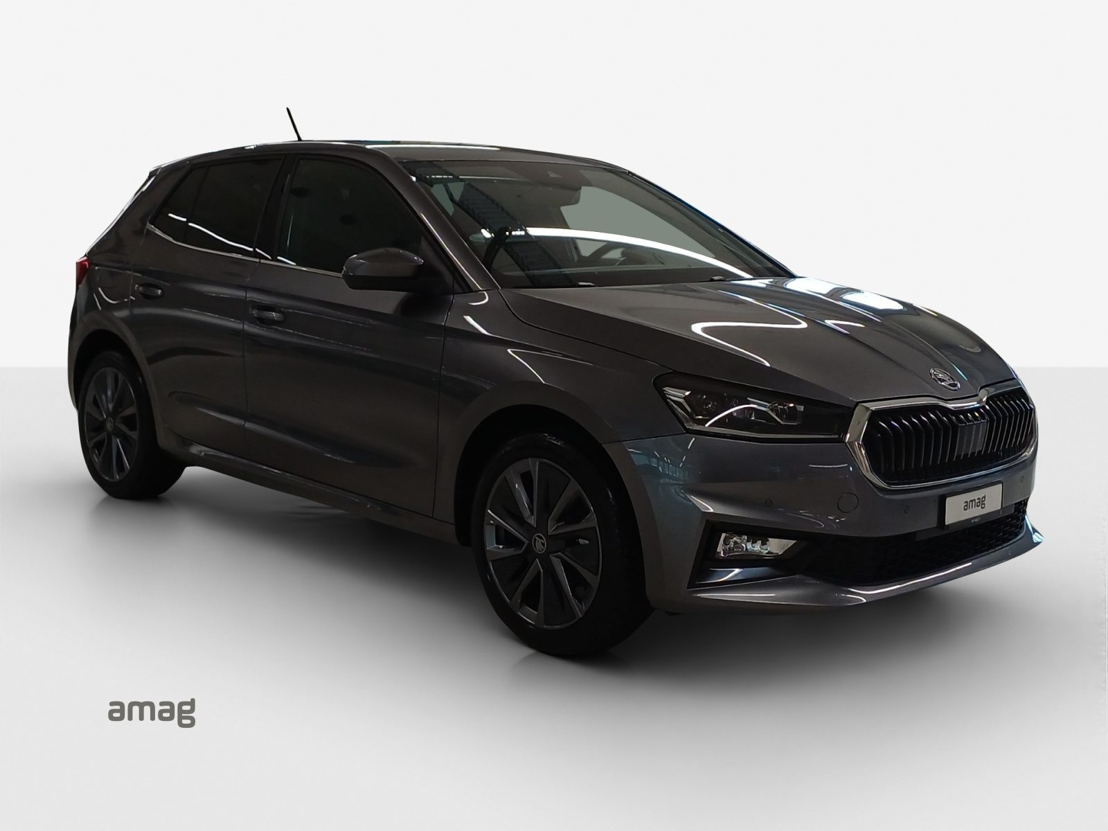 SKODA Fabia Dynamic (Netto), Petrol, New car, Automatic - 6
