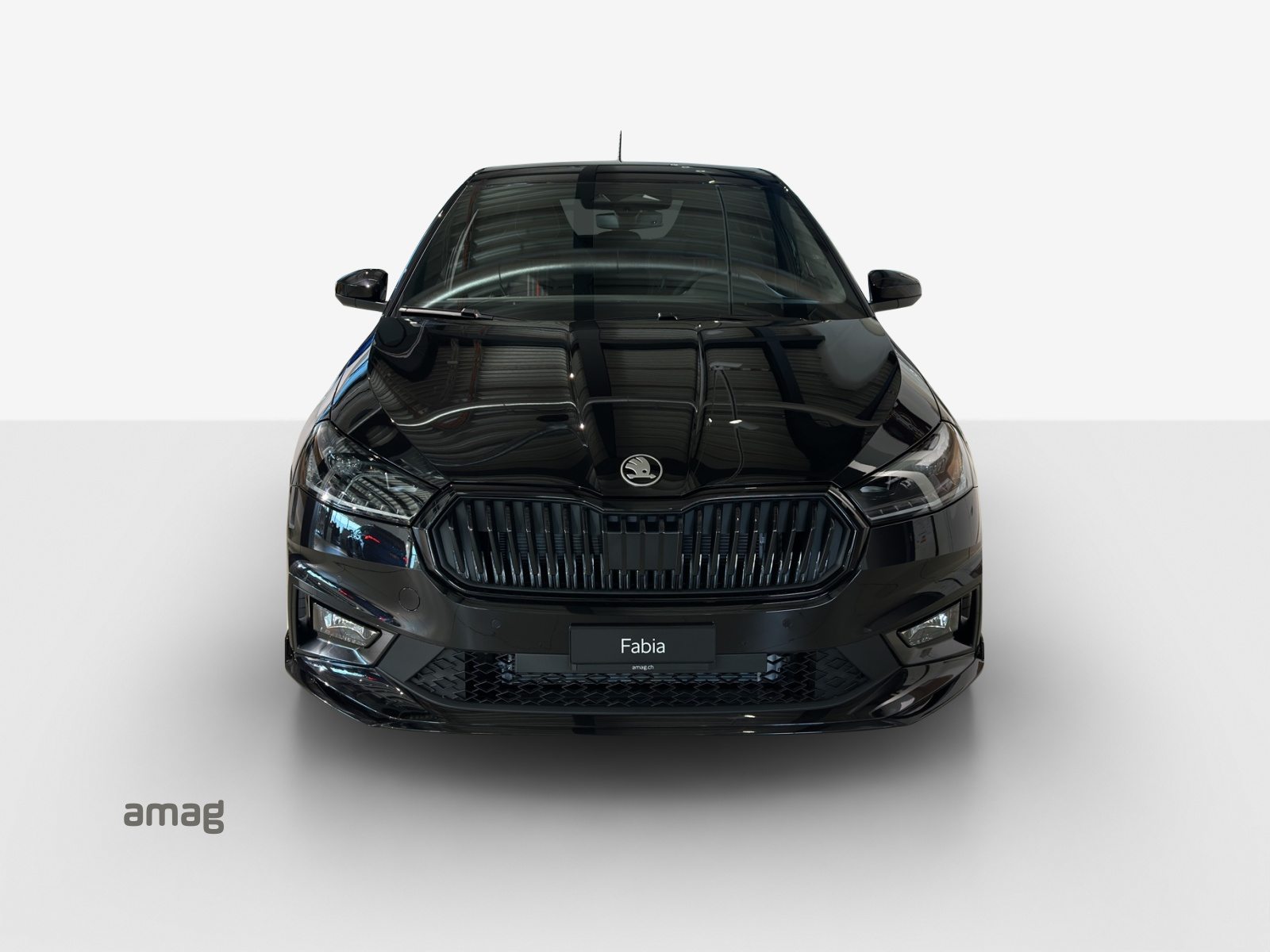 SKODA Fabia 130, Petrol, New car, Automatic - 6