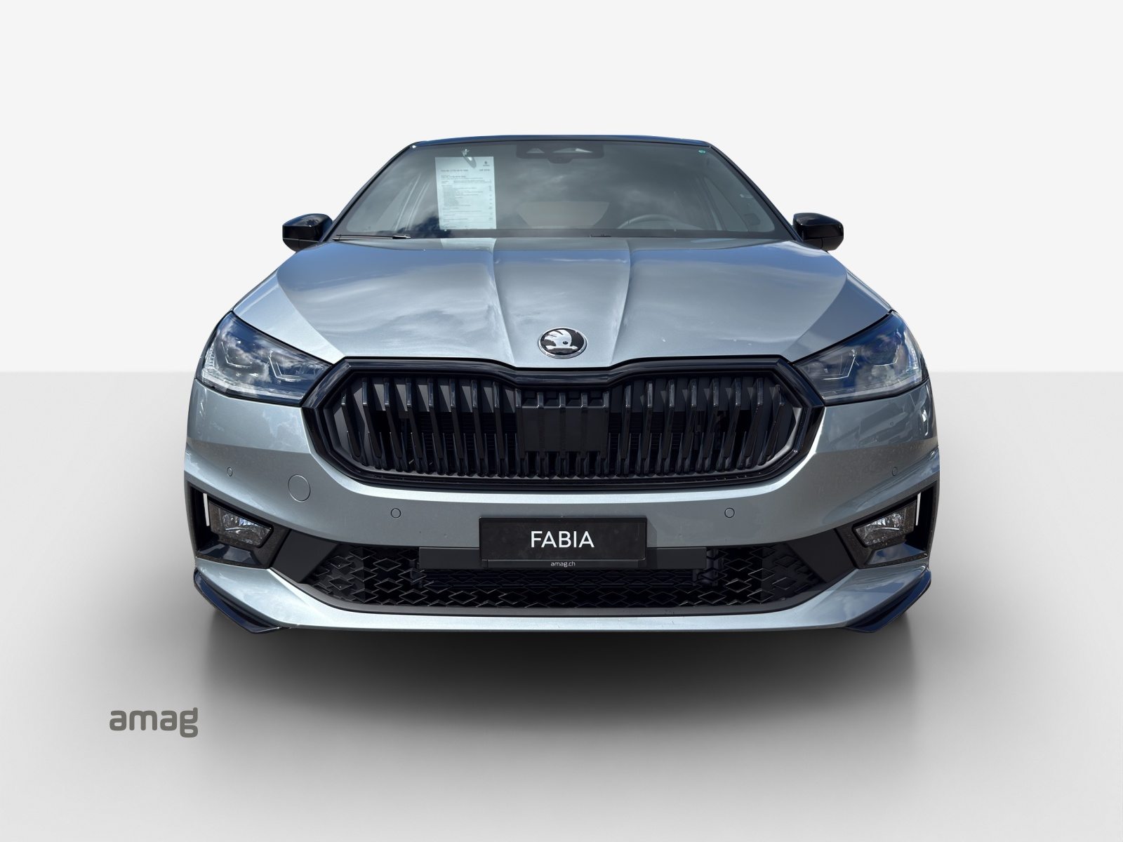 SKODA Fabia Monte Carlo, Benzina, Auto nuove, Automatico - 7