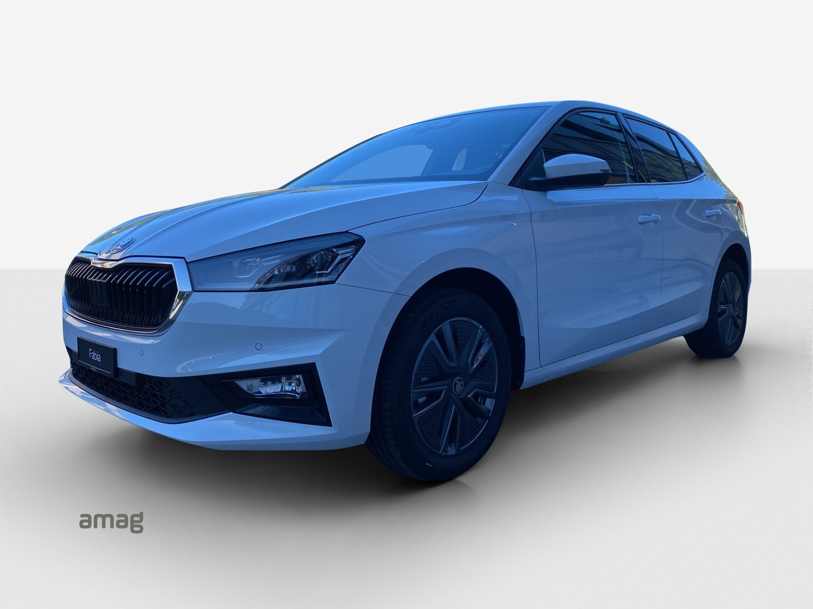 SKODA Fabia Dynamic (Netto)