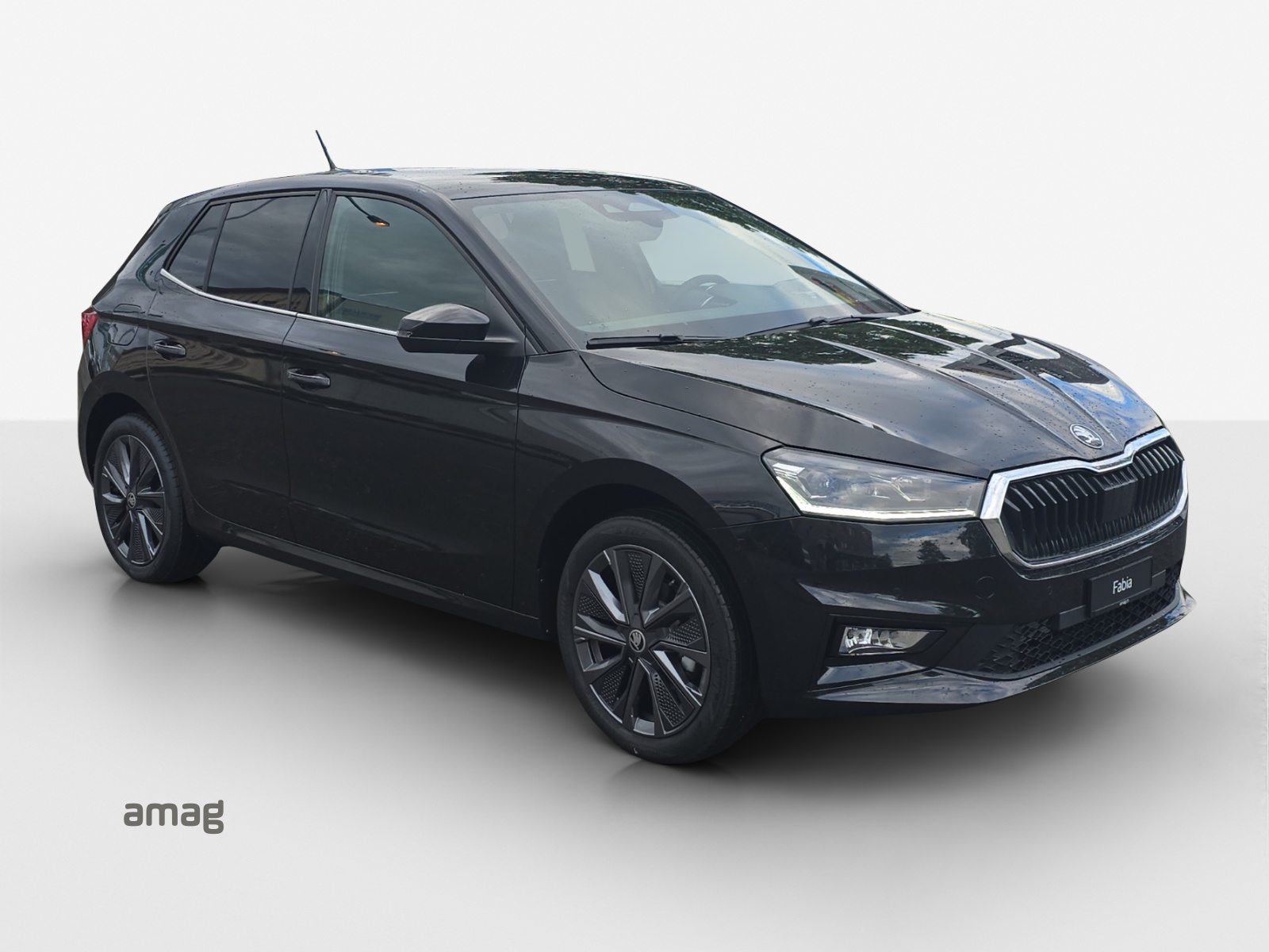 SKODA Fabia Dynamic (Netto), Petrol, New car, Automatic - 6