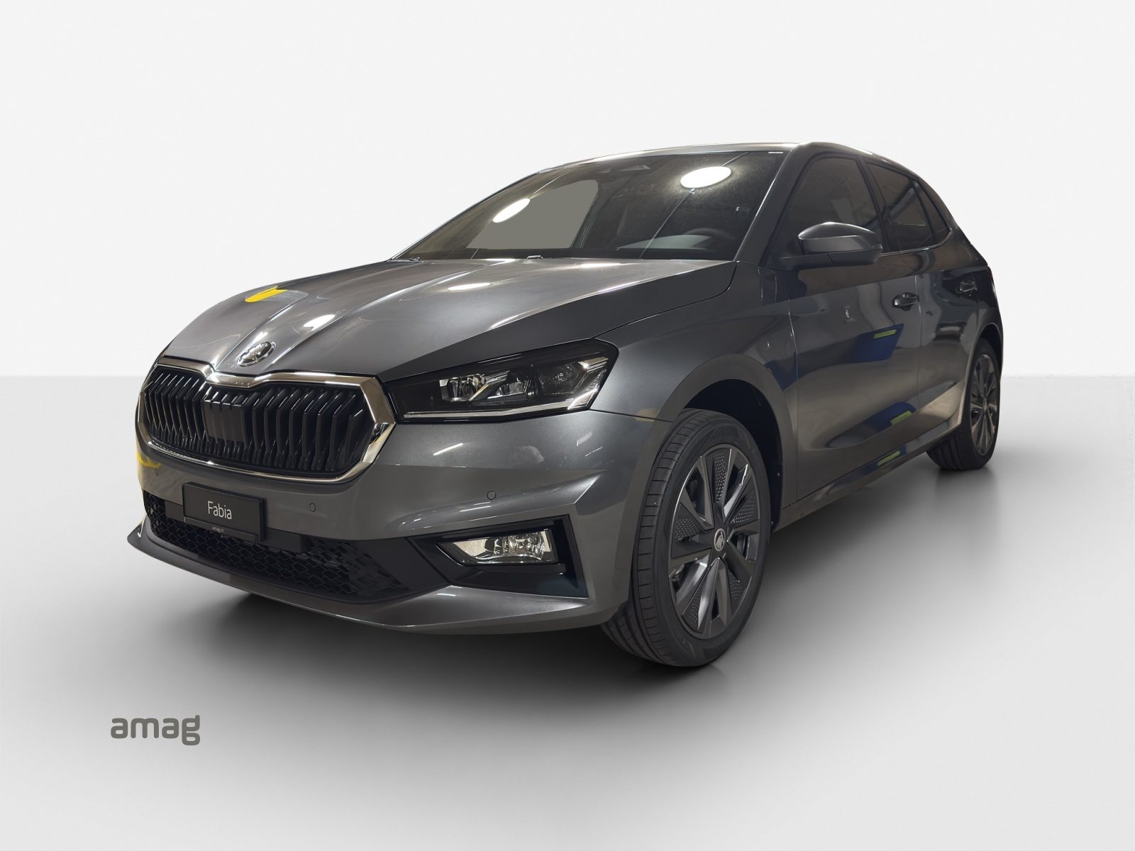 SKODA Fabia Dynamic (Netto)