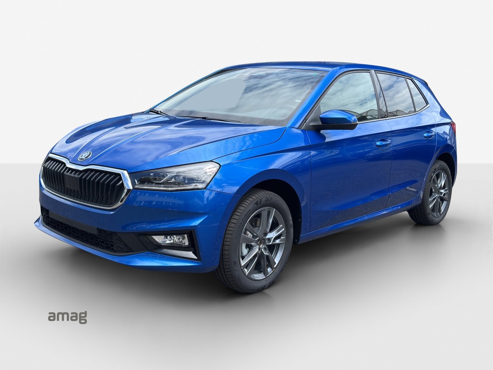 SKODA Fabia Dynamic (Netto)