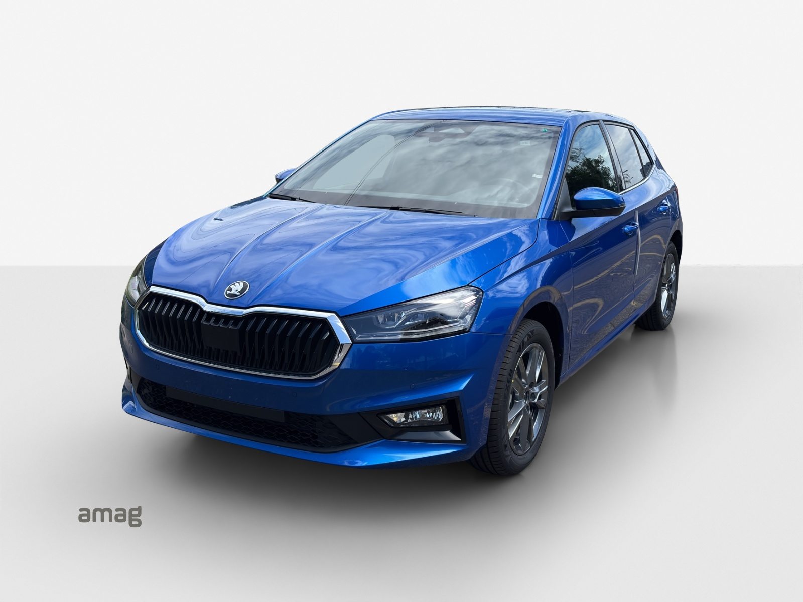 SKODA Fabia Dynamic (Netto)