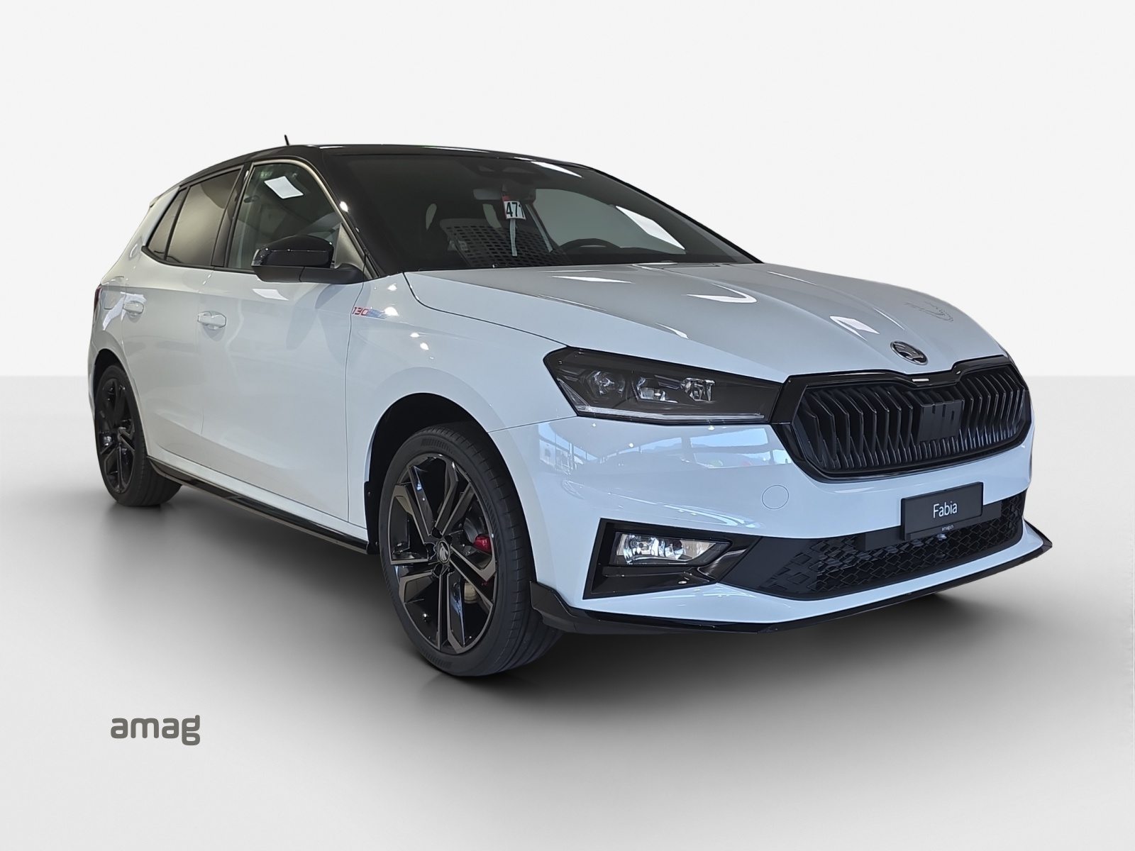 SKODA Fabia 130, Petrol, New car, Automatic - 6