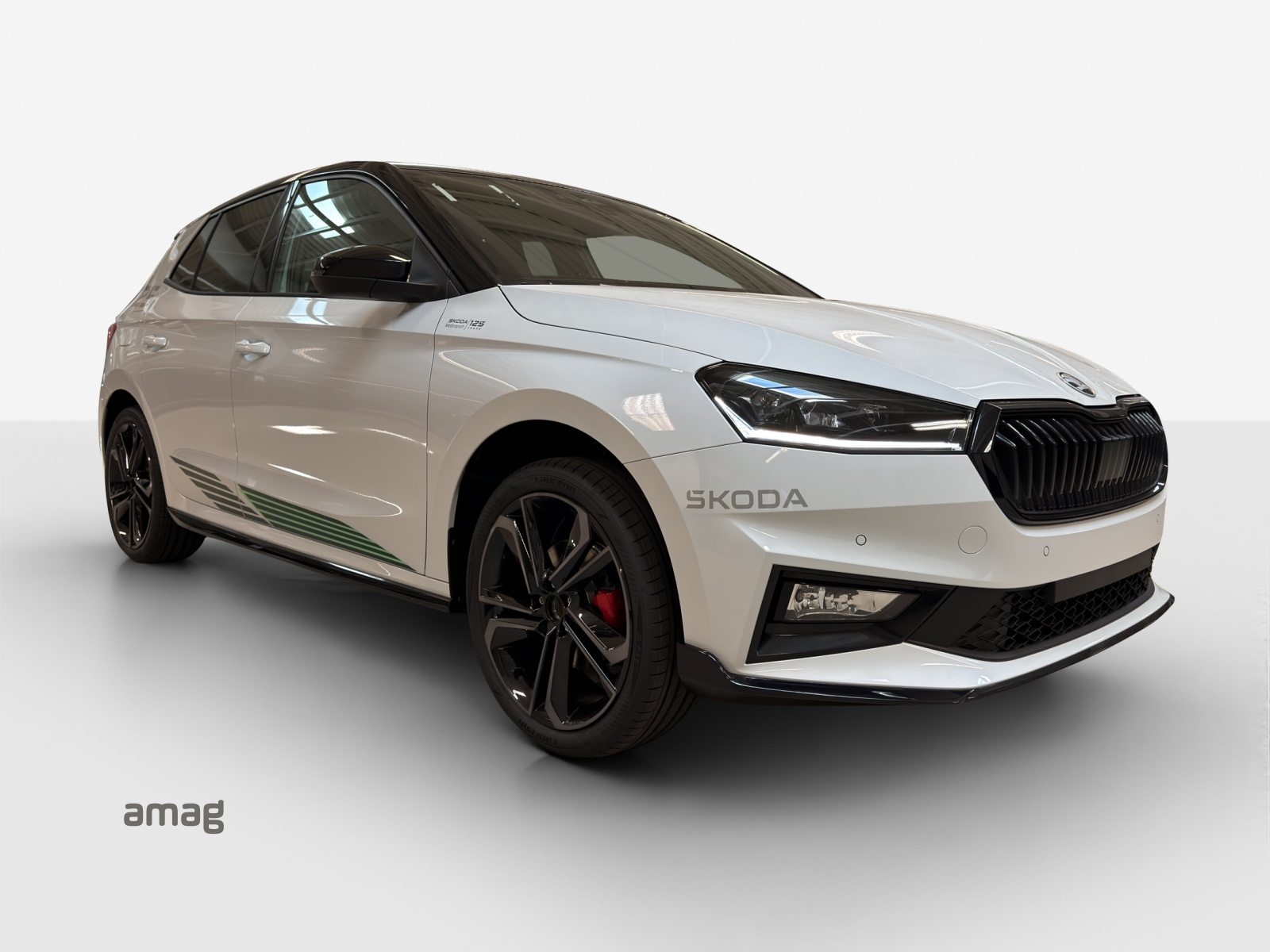 SKODA Fabia Motorsport Edition (Netto), Benzina, Auto nuove, Automatico - 6