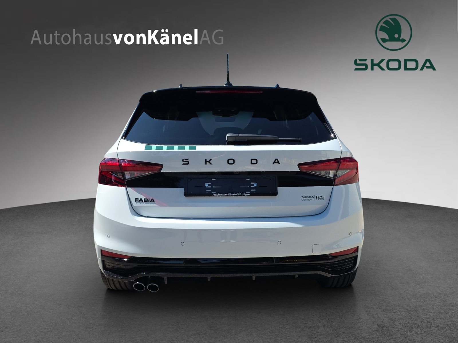 SKODA Fabia Motorsport Edition (Netto), Essence, Voiture nouvelle, Automatique - 5