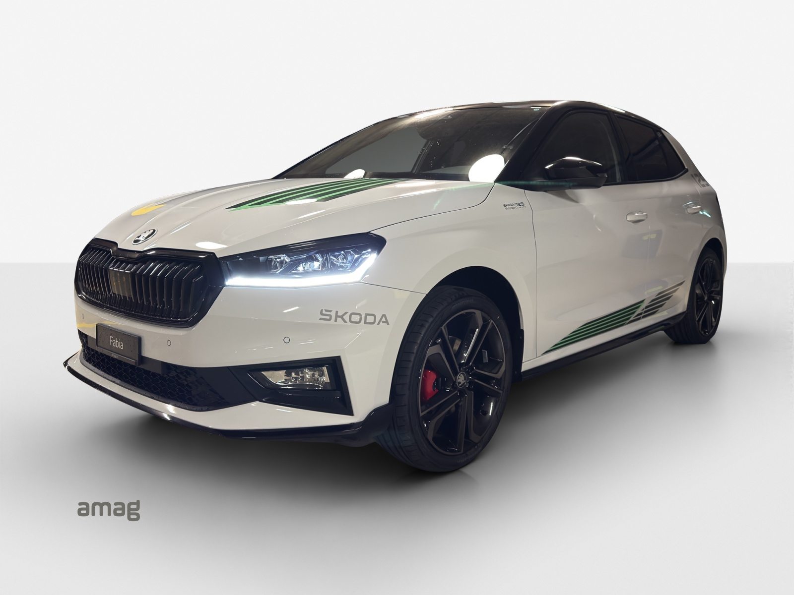 SKODA Fabia Motorsport Edition (Netto)