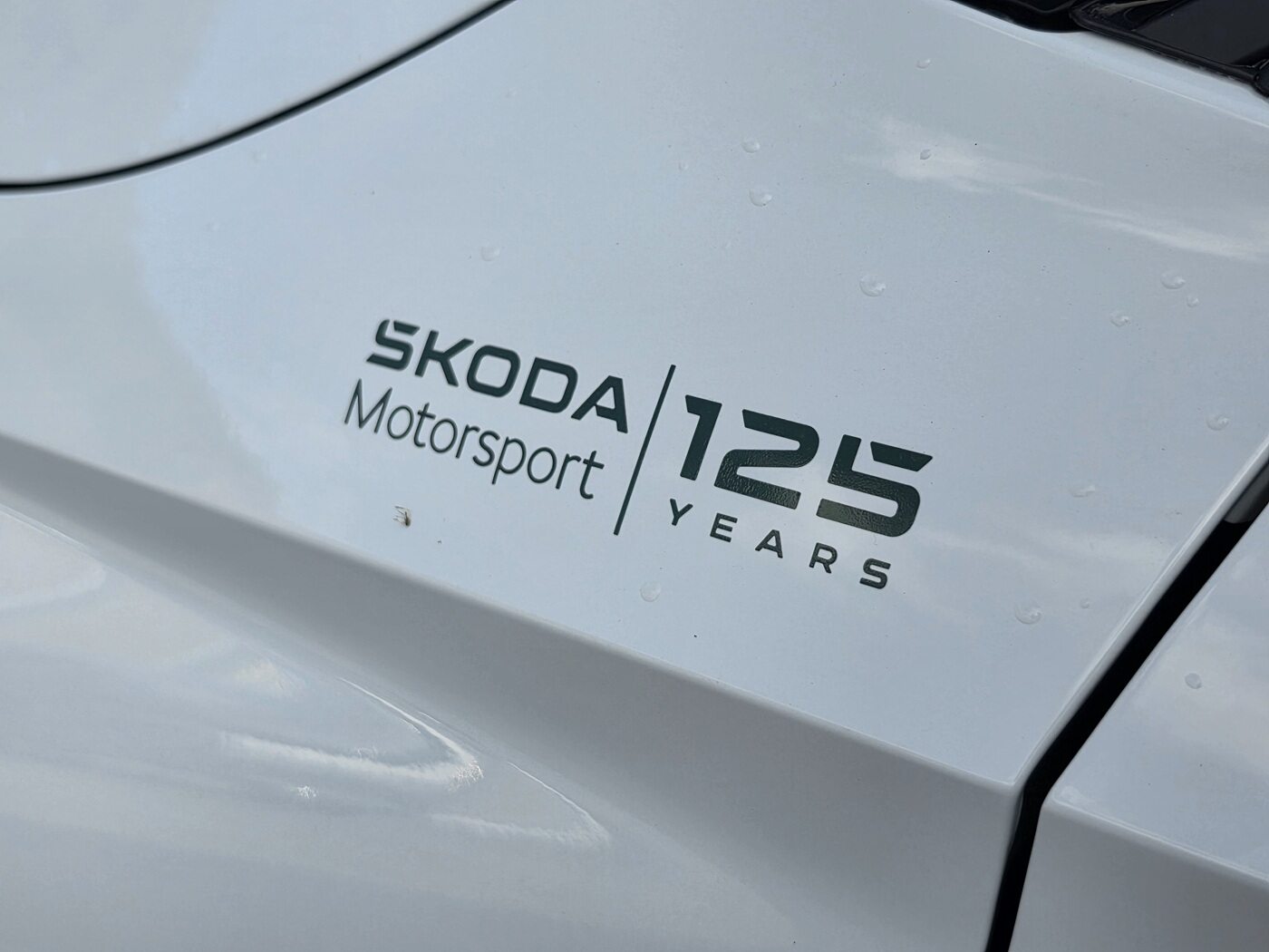 SKODA Fabia Motorsport Edition (Netto), Benzina, Auto nuove, Automatico - 5