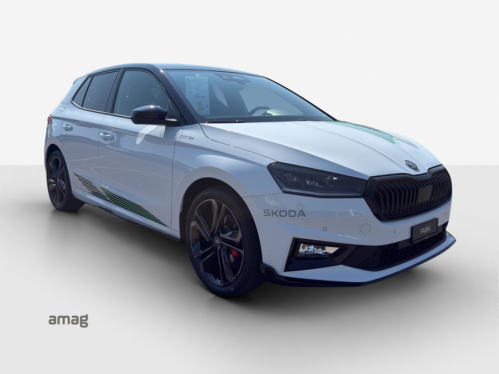 SKODA Fabia Motorsport Edition (Netto), Benzin, Neuwagen, Automatik - 6
