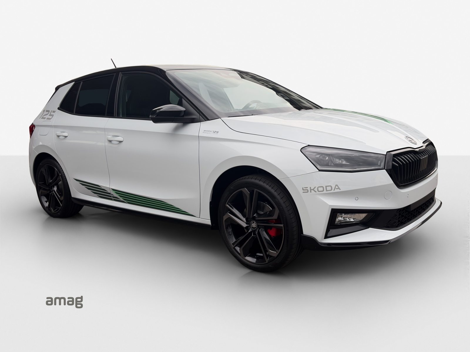 SKODA Fabia Motorsport Edition (Netto), Benzina, Auto nuove, Automatico - 6
