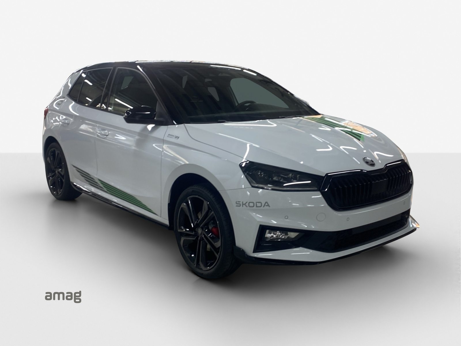 SKODA Fabia Motorsport Edition (Netto), Benzina, Auto nuove, Automatico - 6