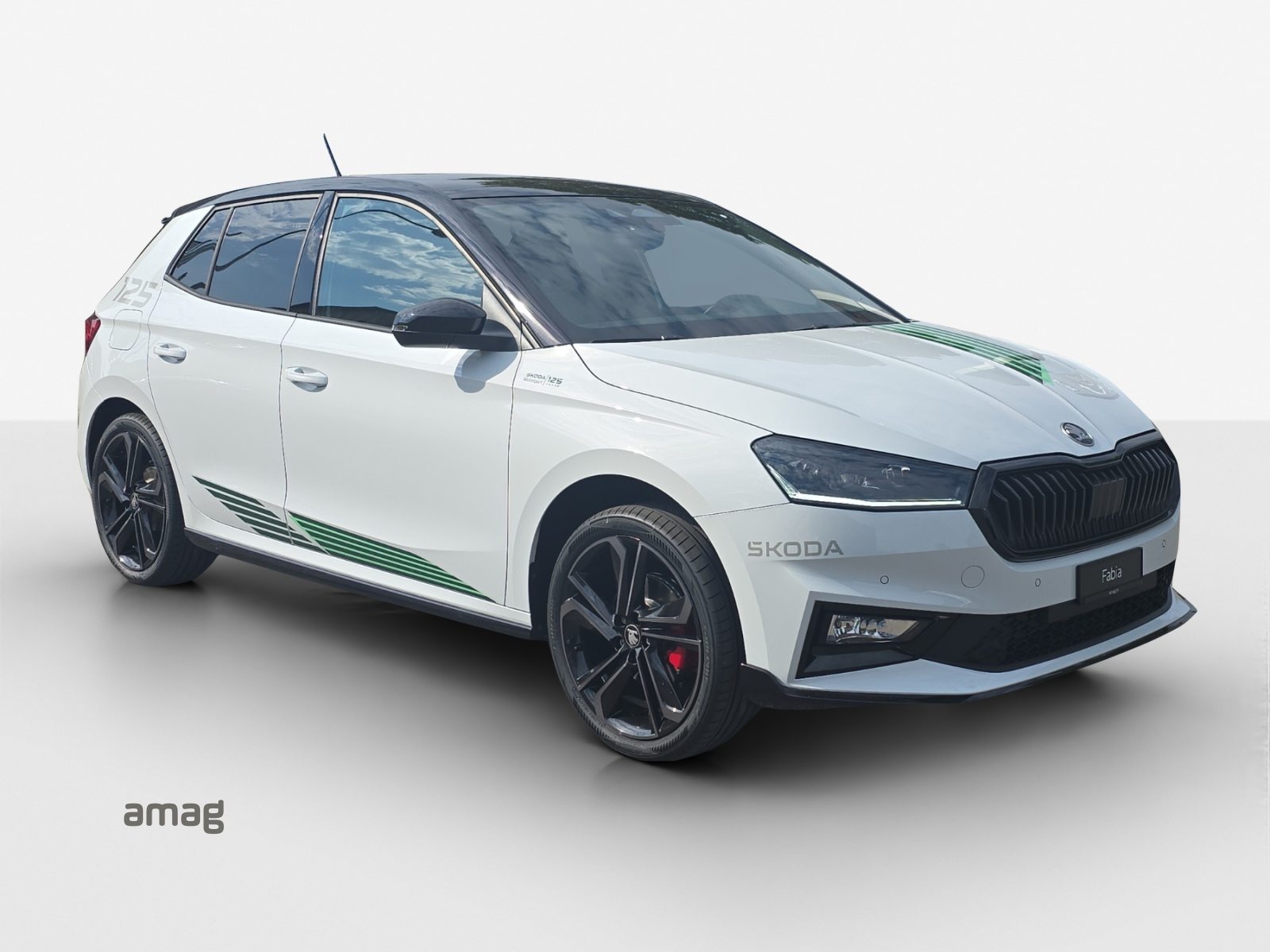 SKODA Fabia Motorsport Edition (Netto), Benzin, Neuwagen, Automatik - 6