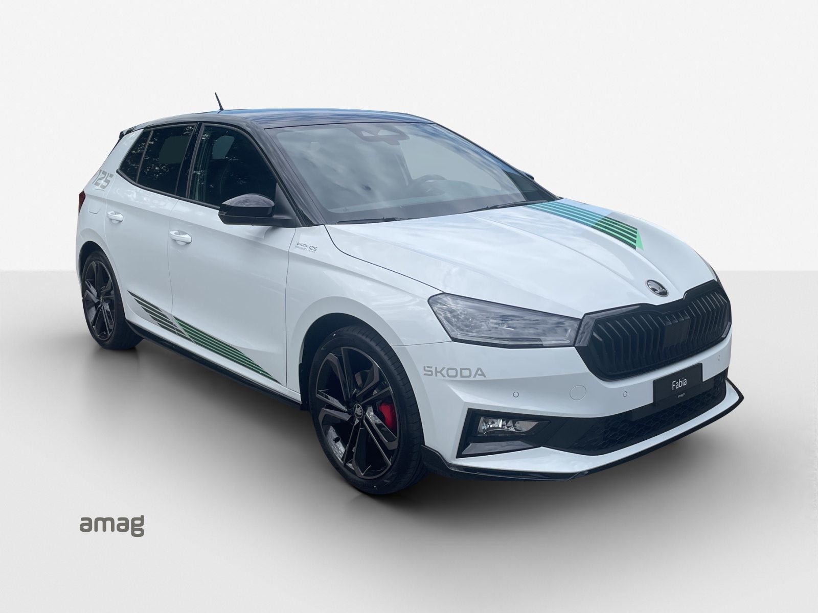 SKODA Fabia Motorsport Edition (Netto), Benzin, Neuwagen, Automatik - 6