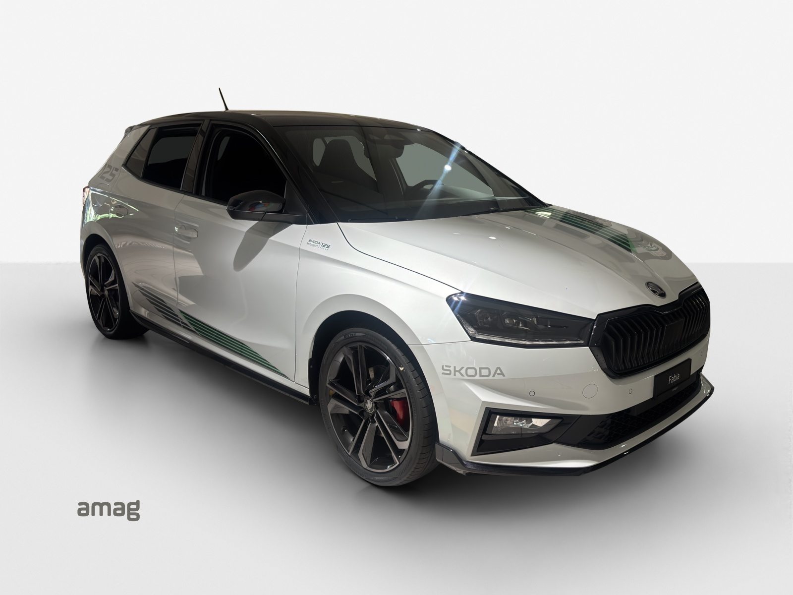SKODA Fabia Motorsport Edition (Netto), Benzin, Neuwagen, Automatik - 3