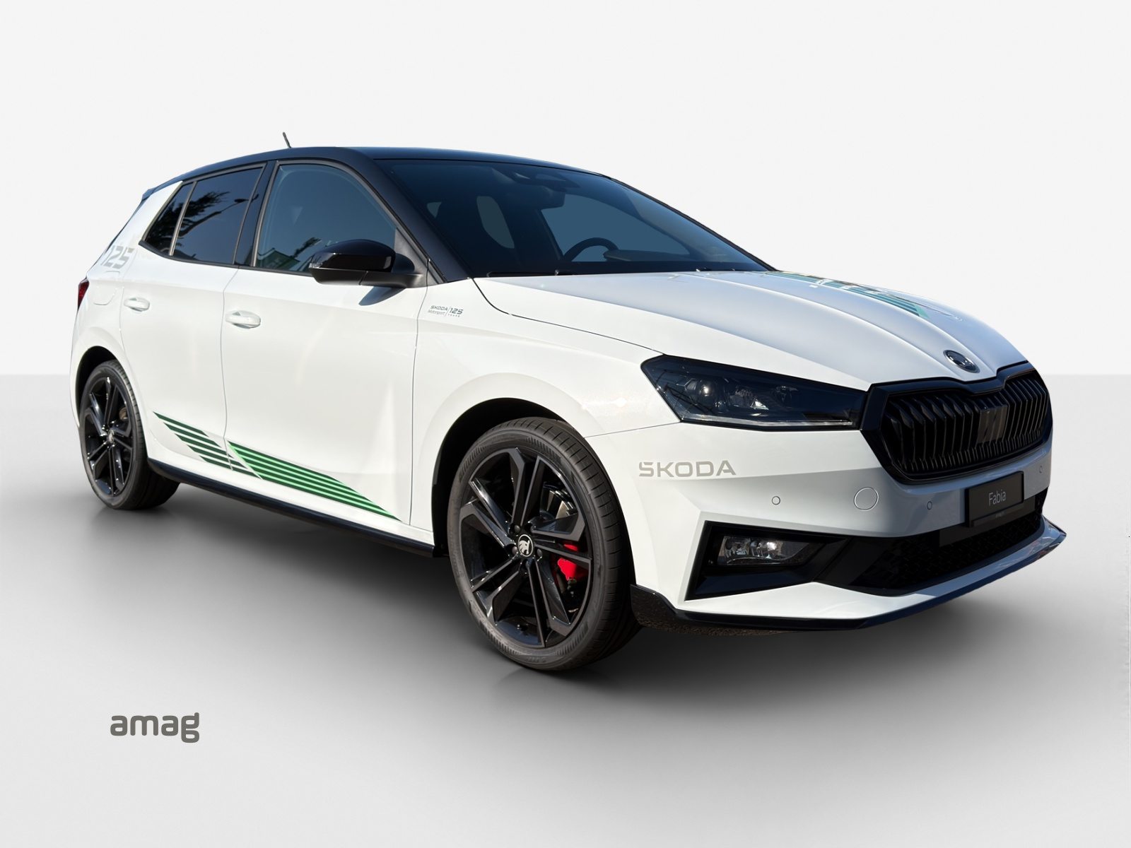 SKODA Fabia Motorsport Edition (Netto), Petrol, New car, Automatic - 6