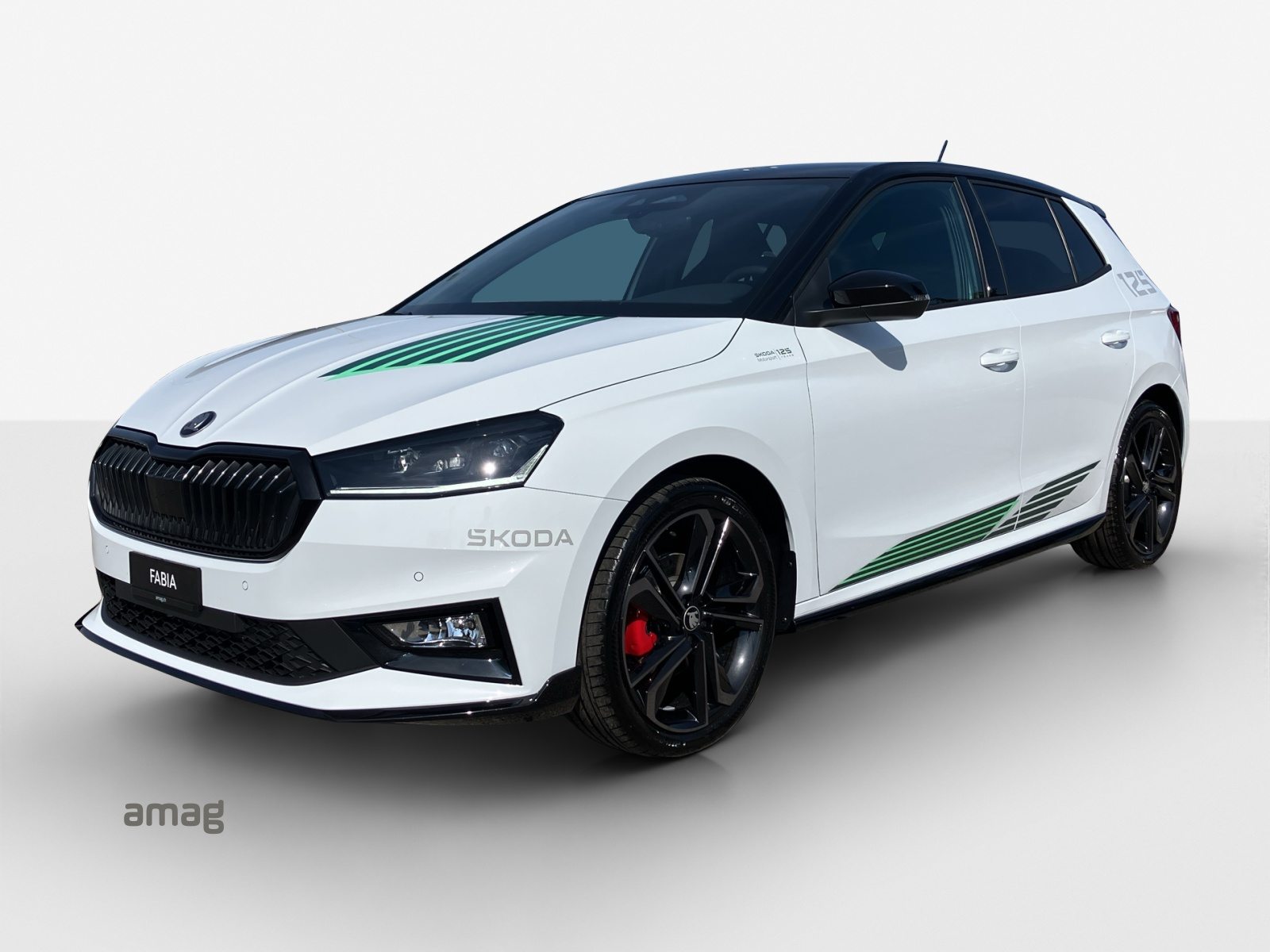SKODA Fabia Motorsport Edition (Netto)