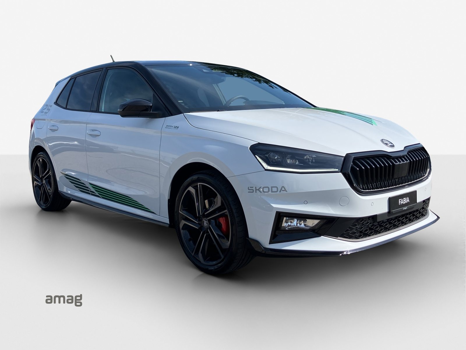 SKODA Fabia Motorsport Edition (Netto), Benzina, Auto nuove, Automatico - 6
