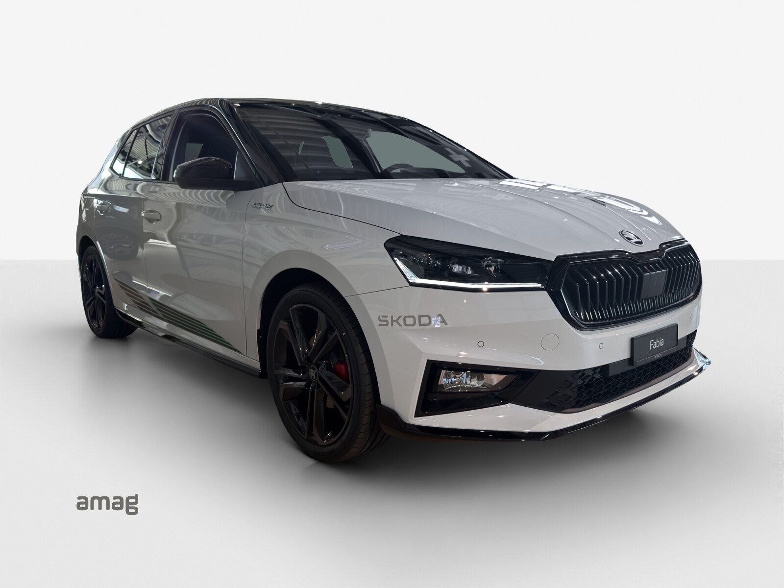 SKODA Fabia Motorsport Edition (Netto), Petrol, New car, Automatic - 6