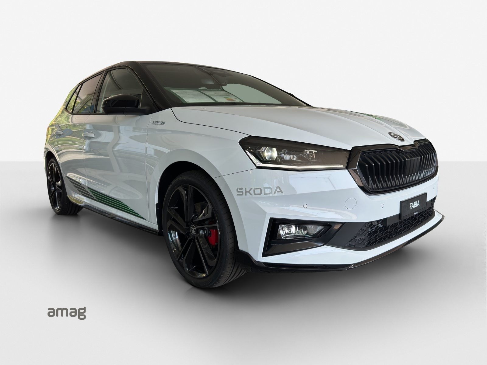 SKODA Fabia Motorsport Edition (Netto), Benzin, Neuwagen, Automatik - 6