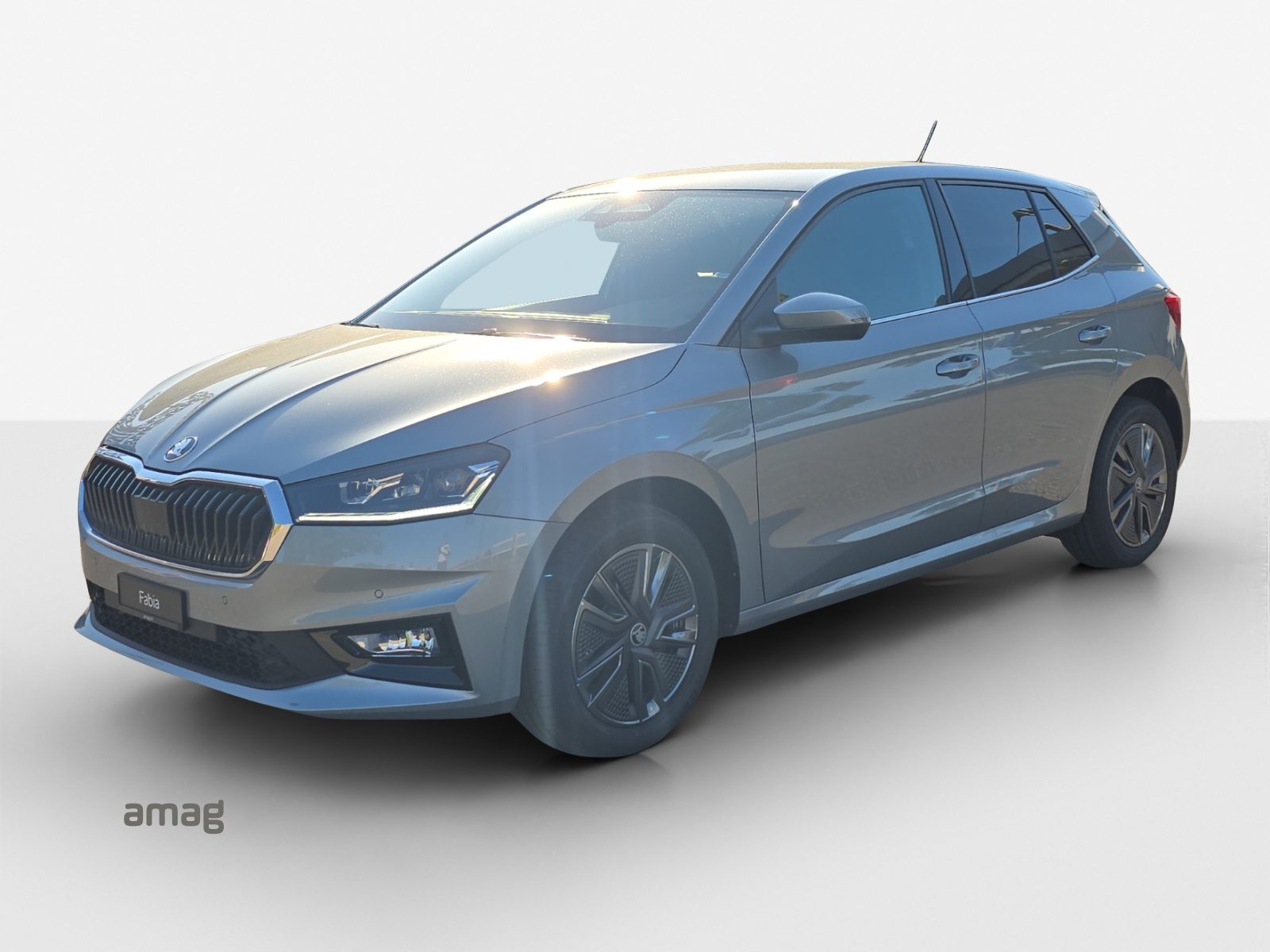 SKODA Fabia Dynamic (Netto)