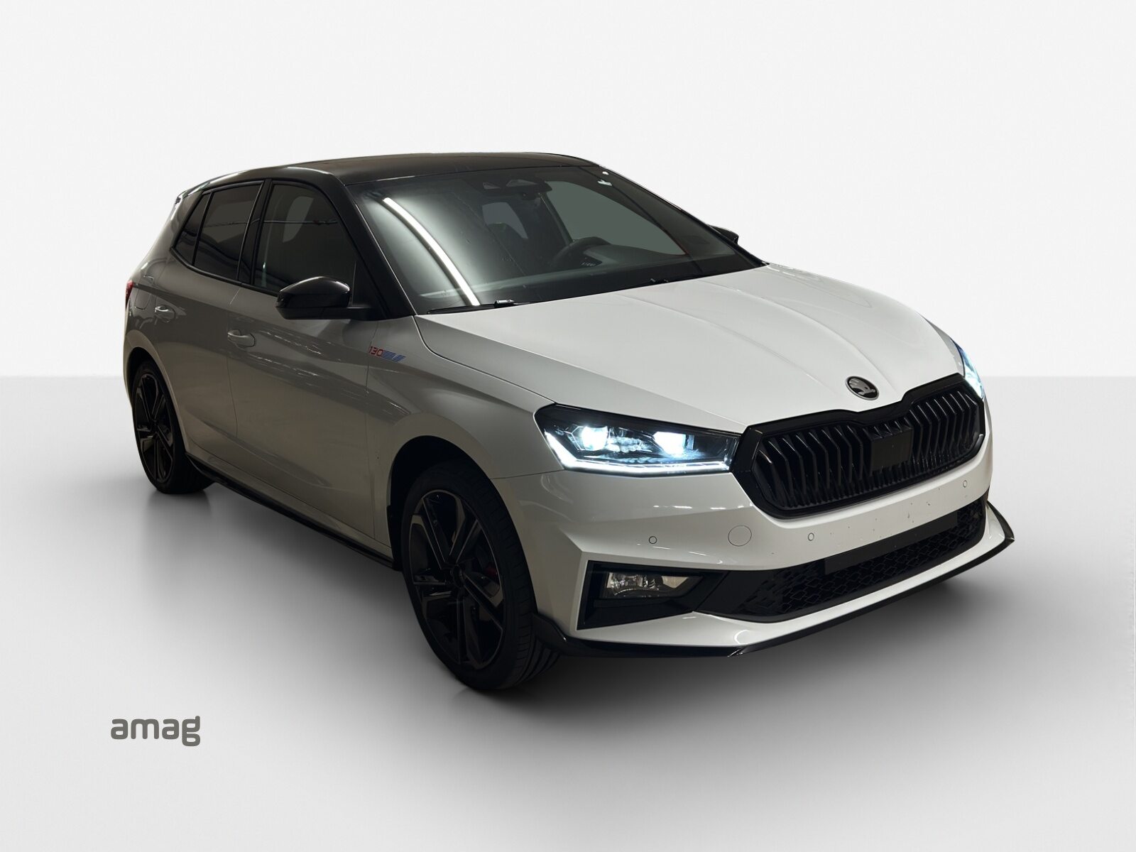 SKODA Fabia 130, Petrol, New car, Automatic - 6