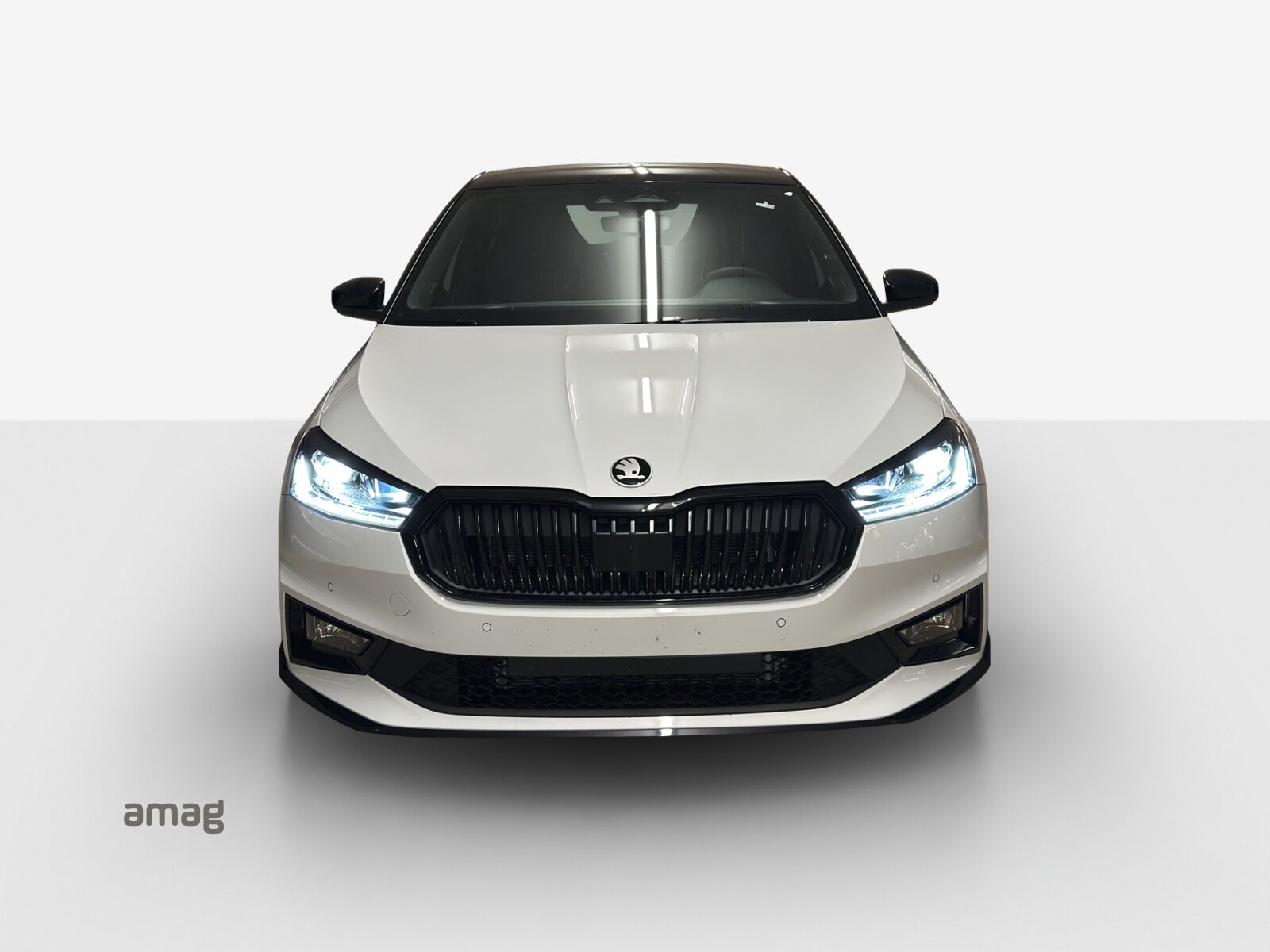 SKODA Fabia 130, Petrol, New car, Automatic - 7