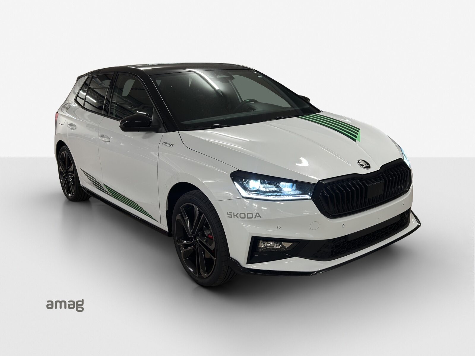 SKODA Fabia Motorsport Edition (Netto), Benzina, Auto nuove, Automatico - 6