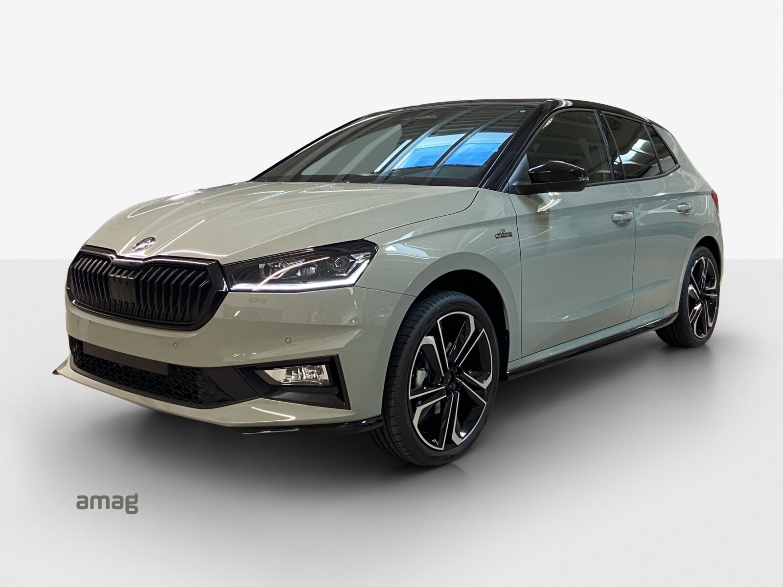 SKODA Fabia Monte Carlo