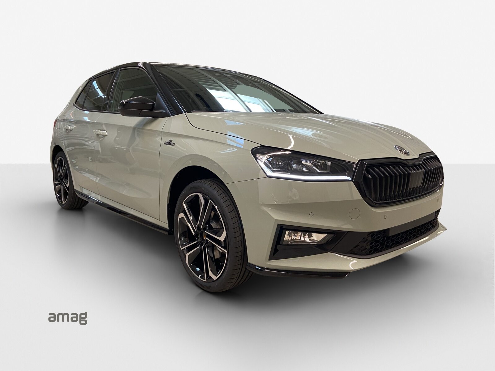 SKODA Fabia Monte Carlo, Benzina, Auto nuove, Automatico - 6