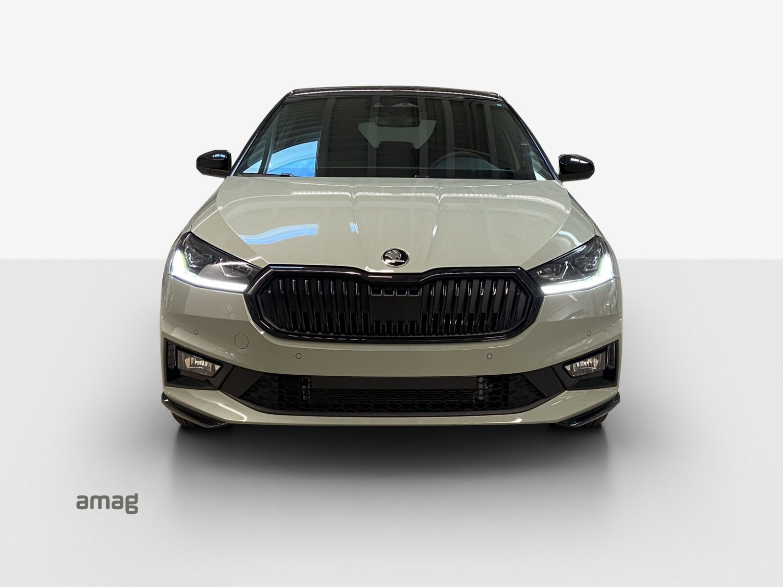SKODA Fabia Monte Carlo, Benzina, Auto nuove, Automatico - 7