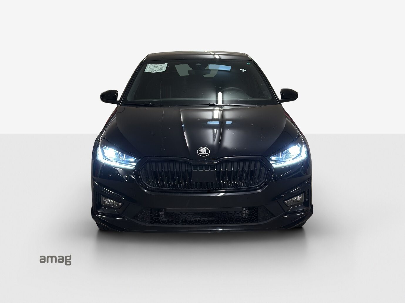 SKODA Fabia 130, Petrol, New car, Automatic - 7