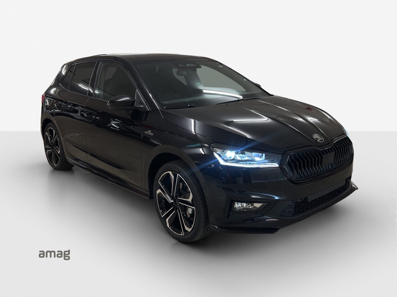 SKODA Fabia Monte Carlo, Benzin, Neuwagen, Automatik - 6