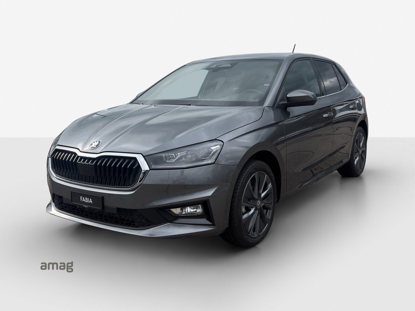 SKODA Fabia Dynamic (Netto)