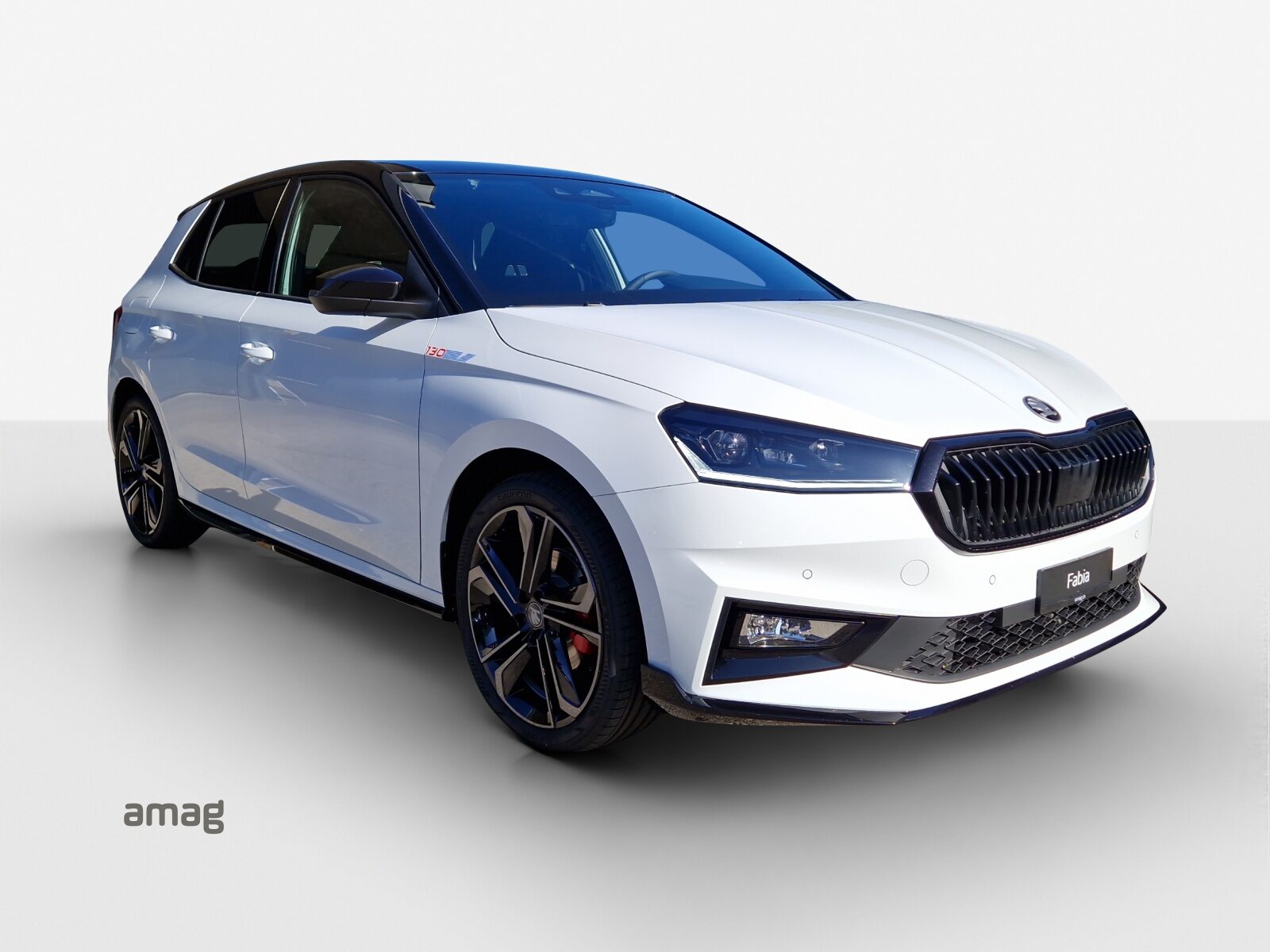 SKODA Fabia 130, Petrol, New car, Automatic - 6