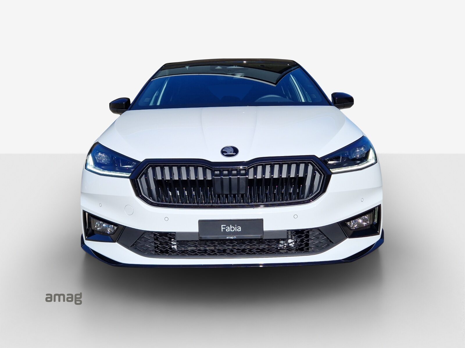 SKODA Fabia 130, Petrol, New car, Automatic - 7