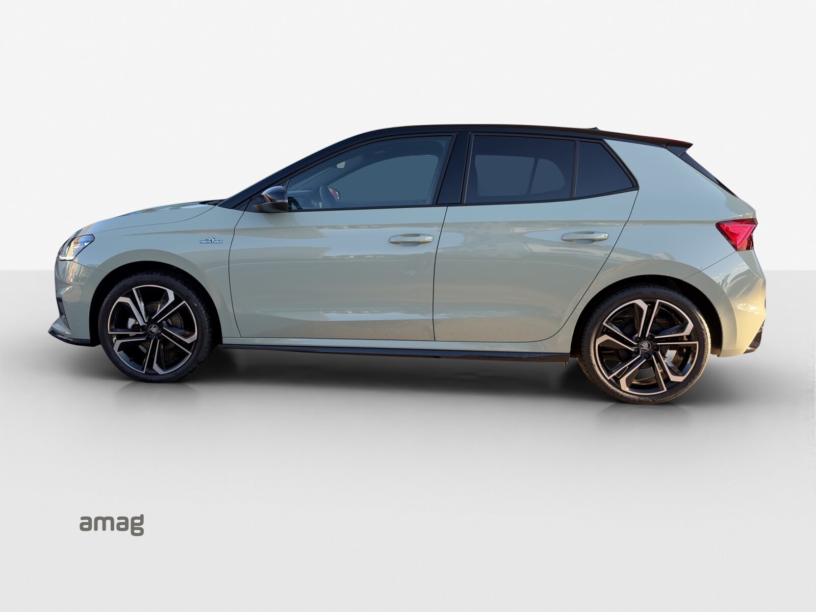 SKODA Fabia Monte Carlo, Petrol, New car, Automatic - 2