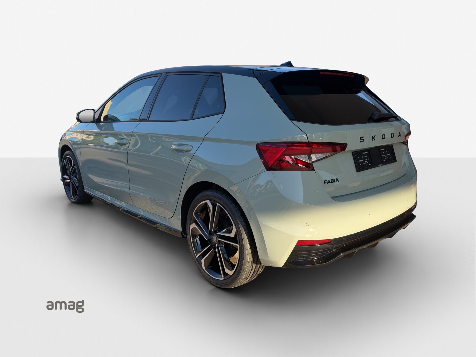 SKODA Fabia Monte Carlo, Petrol, New car, Automatic - 3
