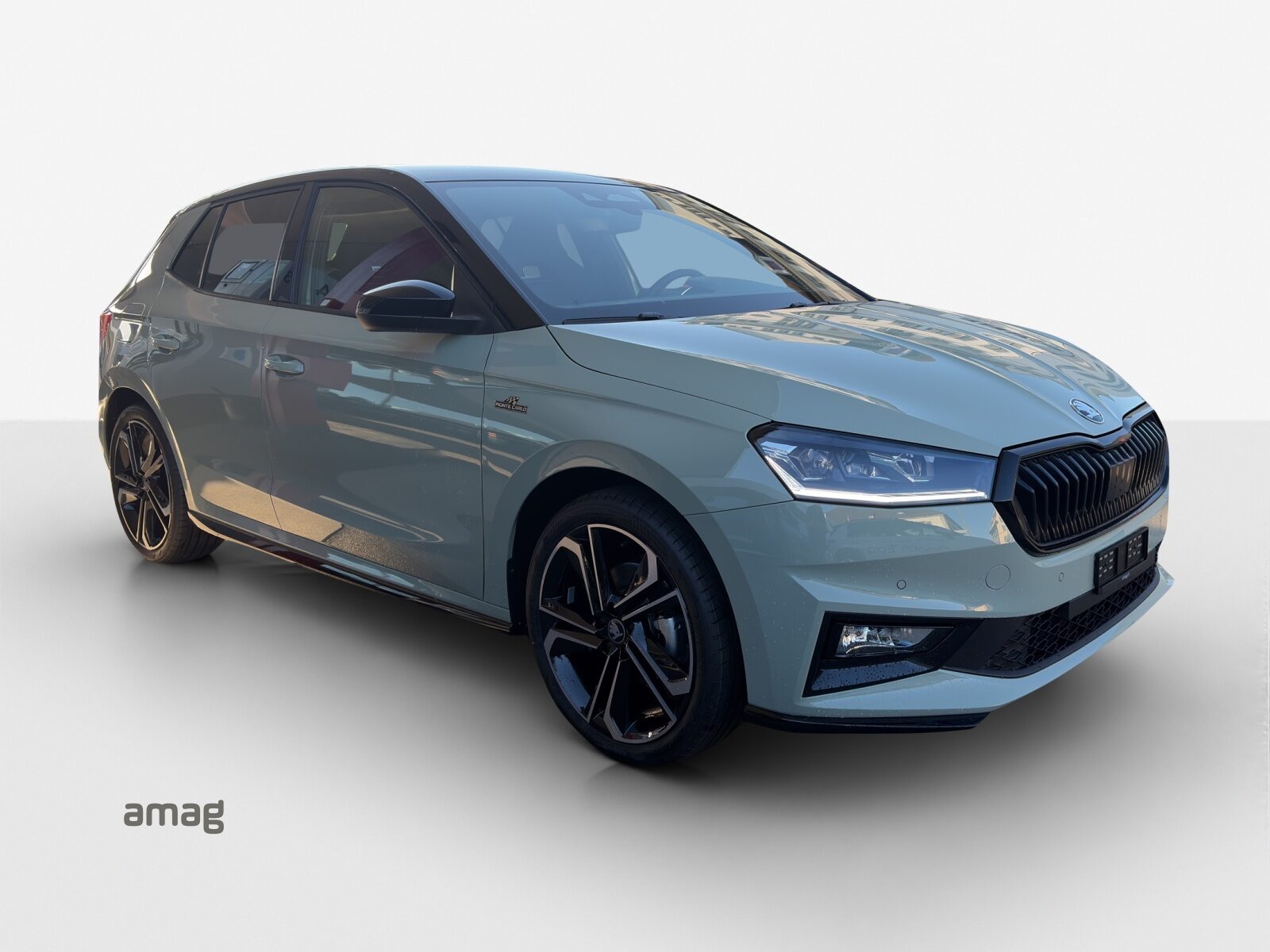 SKODA Fabia Monte Carlo, Petrol, New car, Automatic - 6