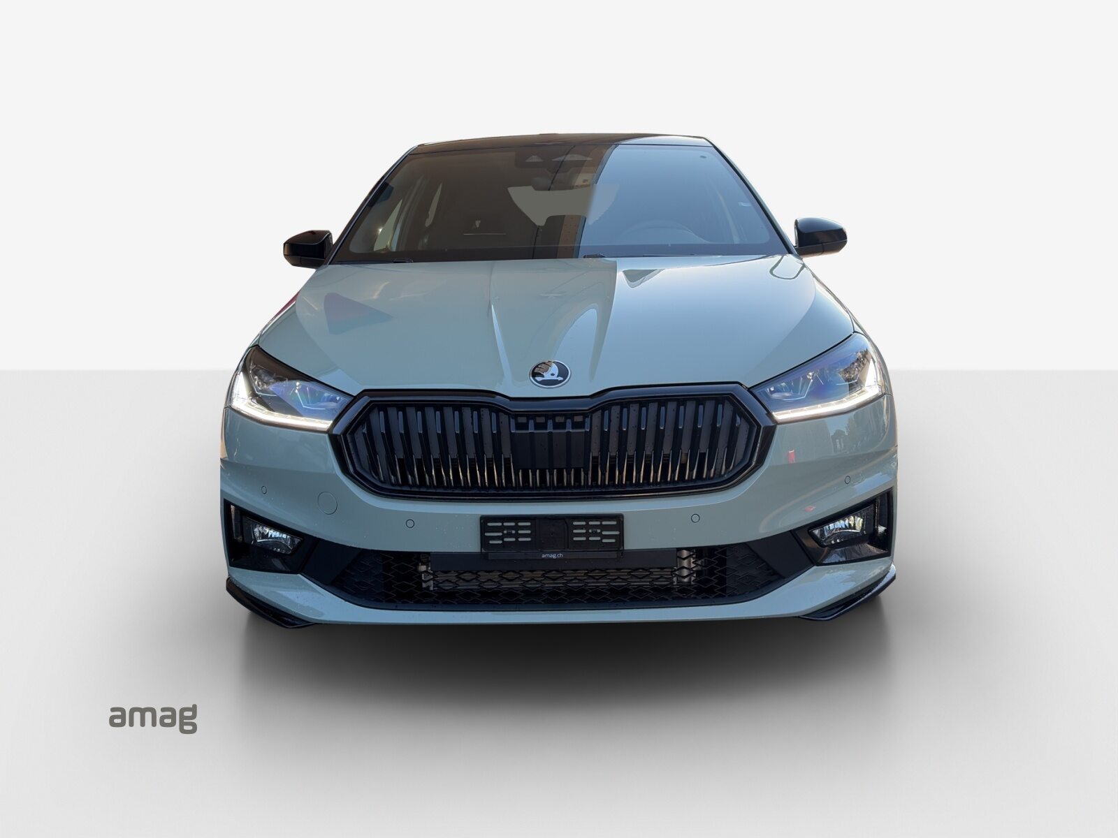 SKODA Fabia Monte Carlo, Petrol, New car, Automatic - 7