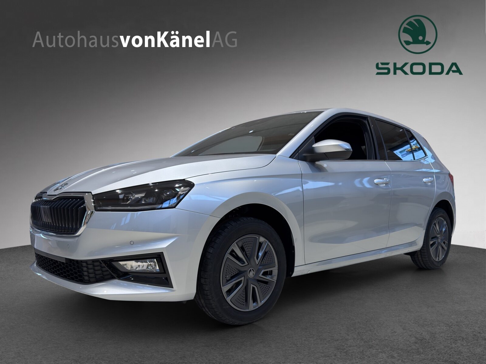 SKODA Fabia Dynamic (Netto)