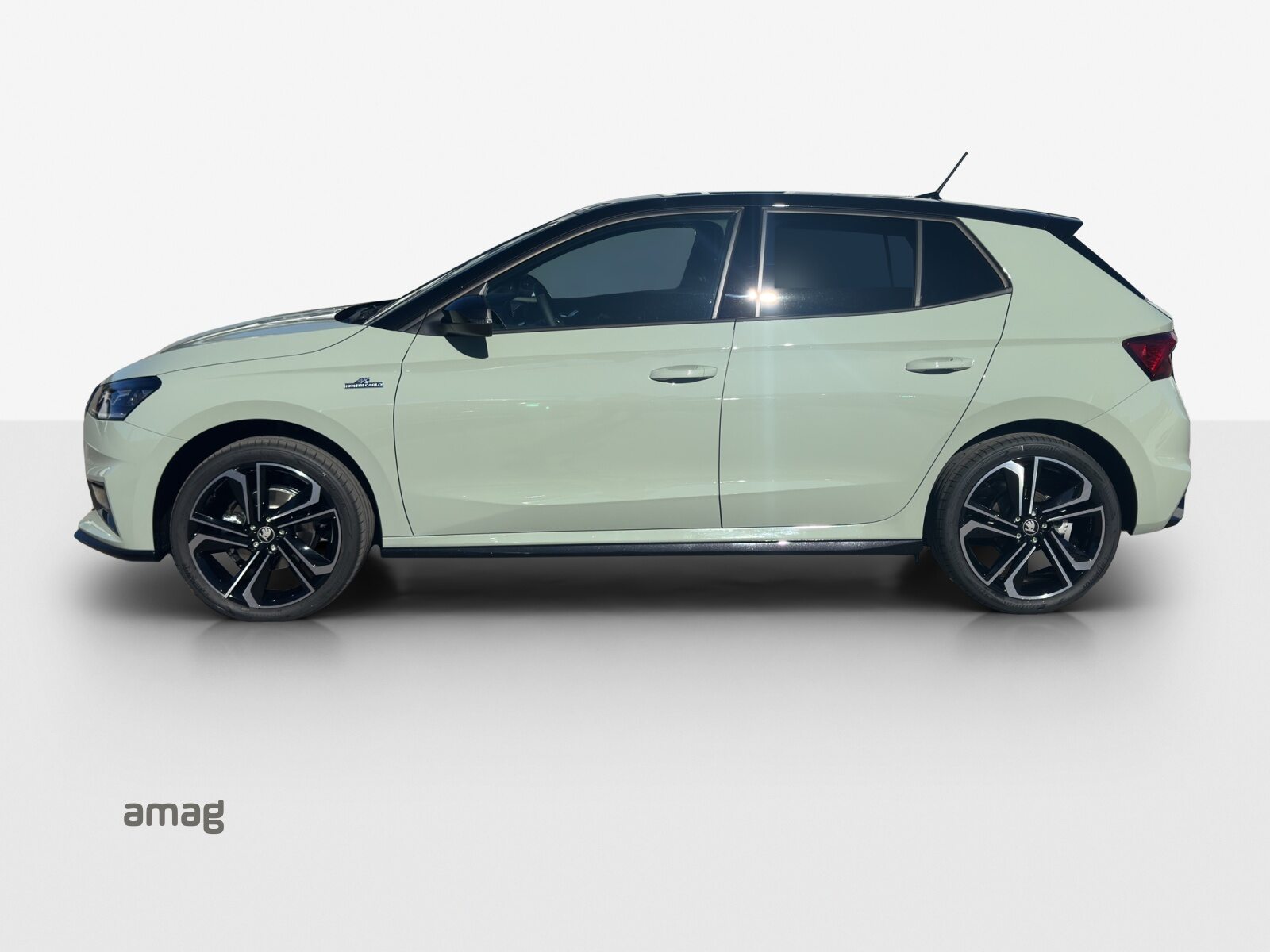 SKODA Fabia Monte Carlo, Petrol, New car, Automatic - 2