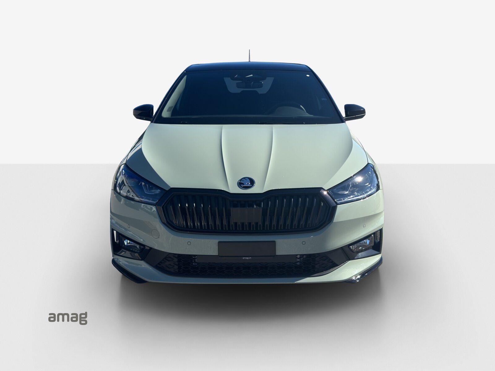 SKODA Fabia Monte Carlo, Petrol, New car, Automatic - 7