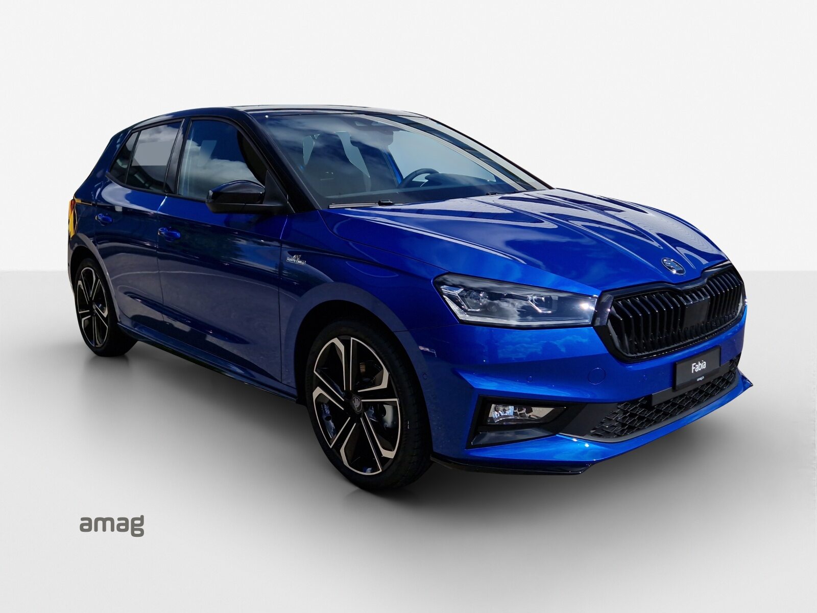 SKODA Fabia Monte Carlo, Petrol, New car, Automatic - 6